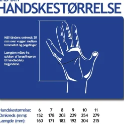 HESTRA Fält Glove New