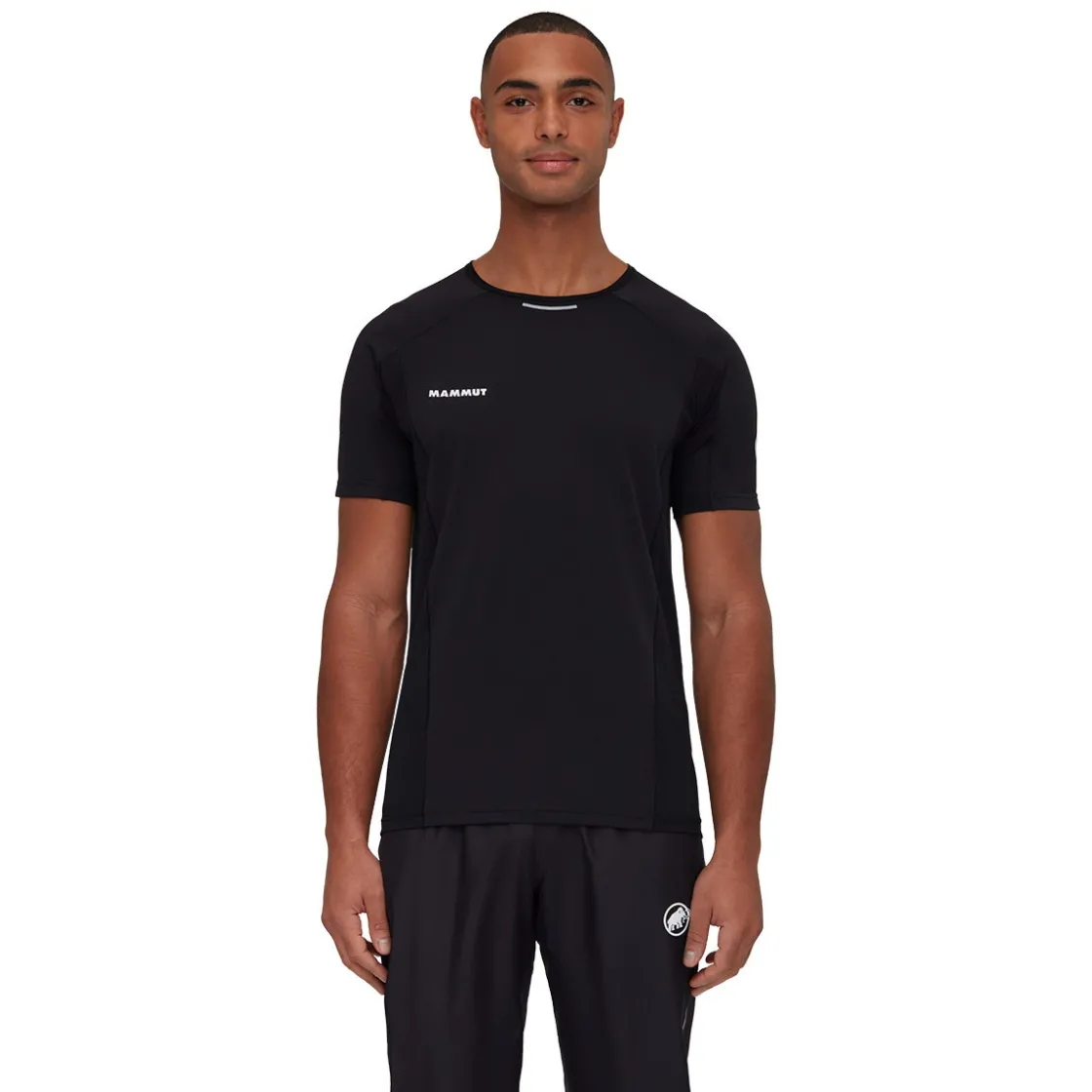 MAMMUT Aenergy FL T-shirt, herre
