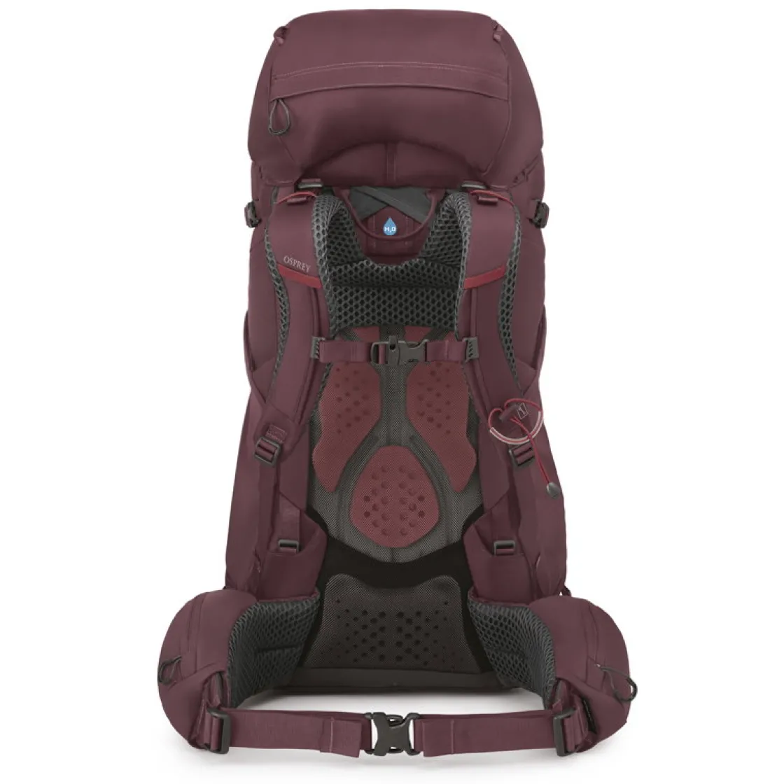 OSPREY Kyte 58 L rygsæk, dame (Elderberry / Purple) Clearance